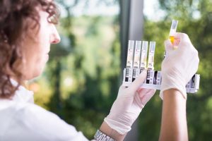 IMG 4025 naglasena 02